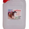 Stassek Equifix 3-Phasen-Lederseife, 5 Liter 1 Stassek Equifix 3-Phasen-Lederseife, 5 Liter -Weatherbeeta Shop 25874 150 01