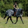 Bucas Buzz-Off Riding Zebra Fliegenausreitdecke 1 Bucas Buzz-Off Riding Zebra Fliegenausreitdecke -Weatherbeeta Shop 300423 BL WH 6