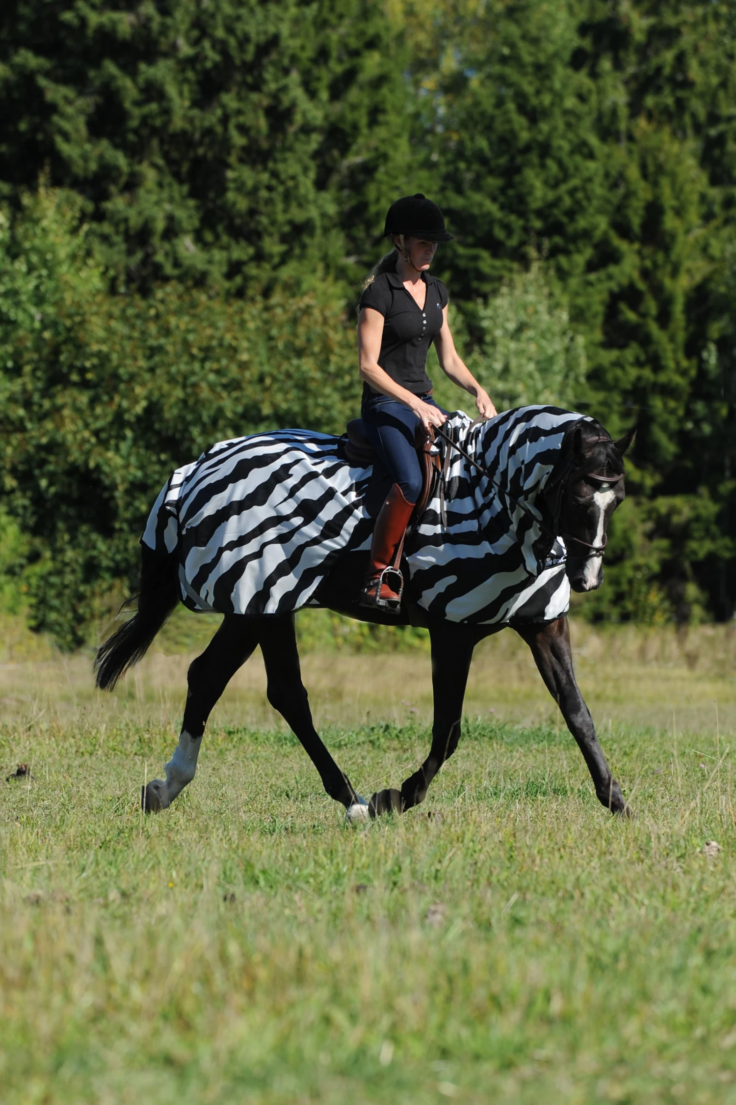 Bucas Buzz-Off Riding Zebra Fliegenausreitdecke 3 Bucas Buzz-Off Riding Zebra Fliegenausreitdecke