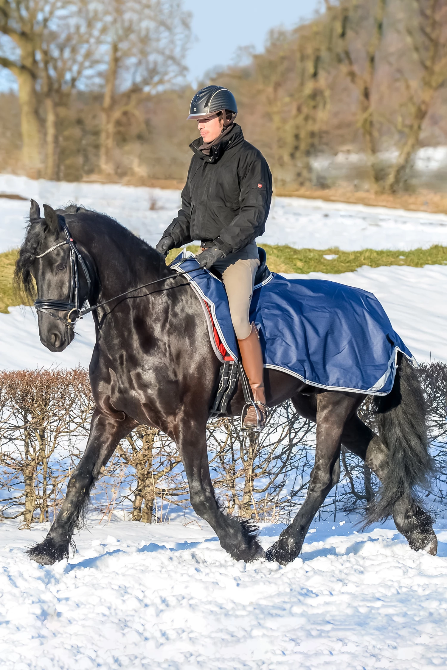 Bucas Freedom Ausreitdecke 3 Bucas Freedom Ausreitdecke