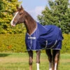 Bucas Freedom Turnout 150g, Pony Decke -Weatherbeeta Shop 300449 DB 1