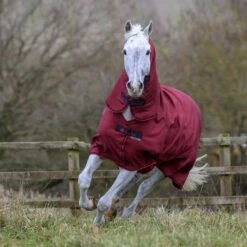 Bucas Freedom Turnout Full Neck Regendecke Mit Festem Halsteil, 0g 17 Bucas Freedom Turnout Full Neck Regendecke Mit Festem Halsteil, 0g -Weatherbeeta Shop 300453 CRE 2