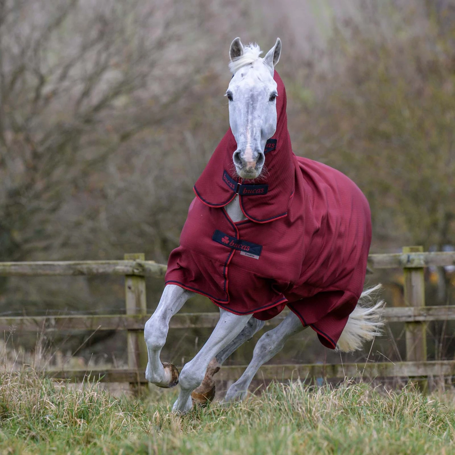 Bucas Freedom Turnout Full Neck Regendecke Mit Festem Halsteil, 0g 8 Bucas Freedom Turnout Full Neck Regendecke Mit Festem Halsteil, 0g – Bild 6