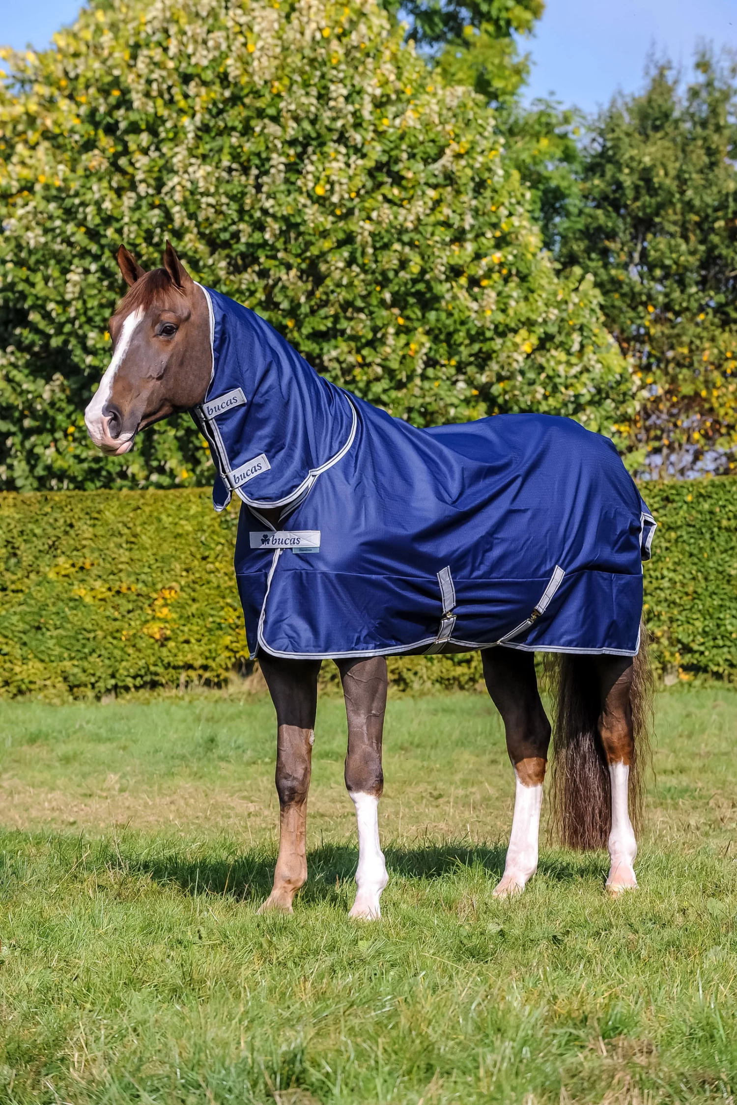 Bucas Freedom Turnout Full Neck Regendecke Mit Festem Halsteil, 0g 3 Bucas Freedom Turnout Full Neck Regendecke Mit Festem Halsteil, 0g