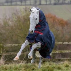 Bucas Freedom Turnout Full Neck Regendecke Mit Festem Halsteil, 0g 19 Bucas Freedom Turnout Full Neck Regendecke Mit Festem Halsteil, 0g -Weatherbeeta Shop 300453 GDG 2