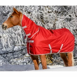 Bucas Freedom Turnout Full Neck Regendecke Mit Festem Halsteil, 0g 20 Bucas Freedom Turnout Full Neck Regendecke Mit Festem Halsteil, 0g -Weatherbeeta Shop 300453 SRE 1
