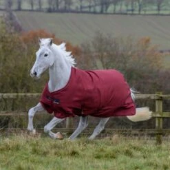 Bucas Freedom Turnout Light Pony Regdendecke, 0g -Weatherbeeta Shop 300456 CRE 1