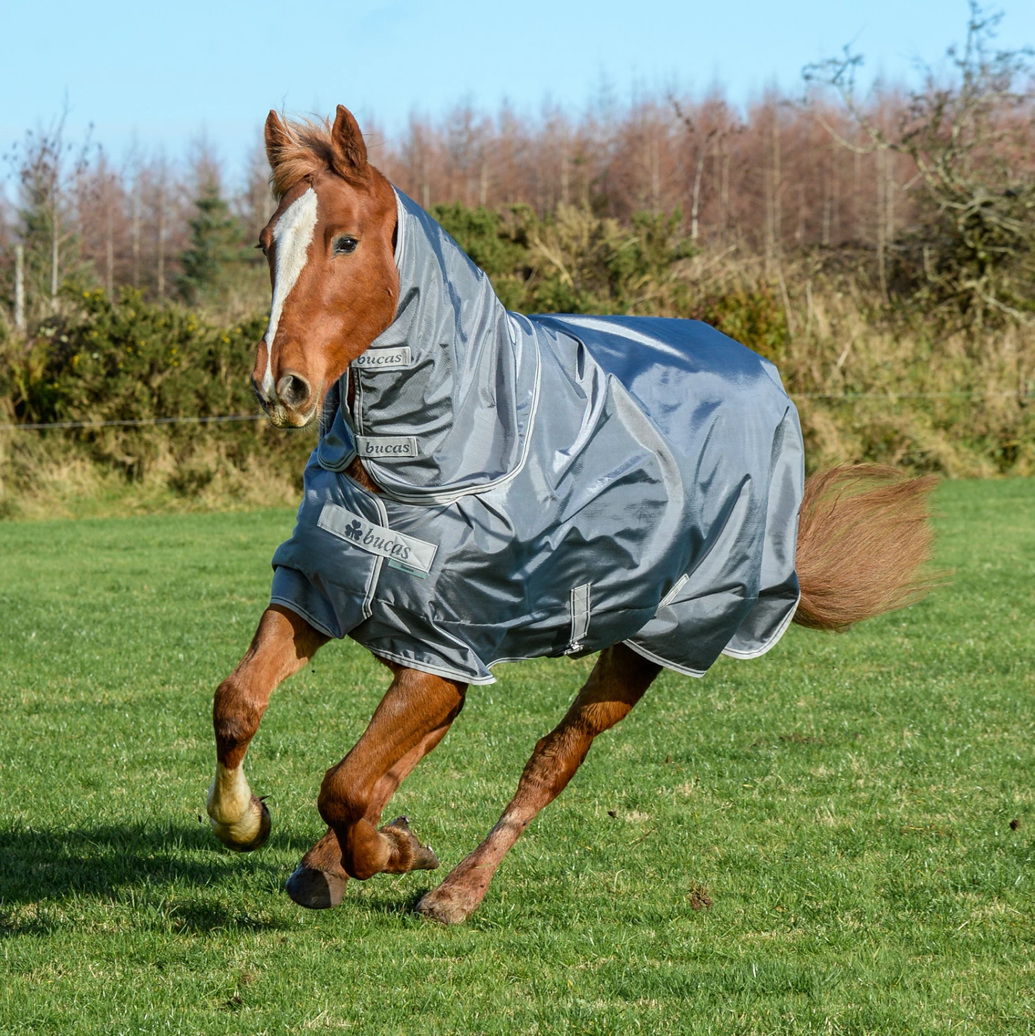 Bucas Smartex Combi Neck Halsteil 300 13 Bucas Smartex Combi Neck Halsteil 300 – Bild 11