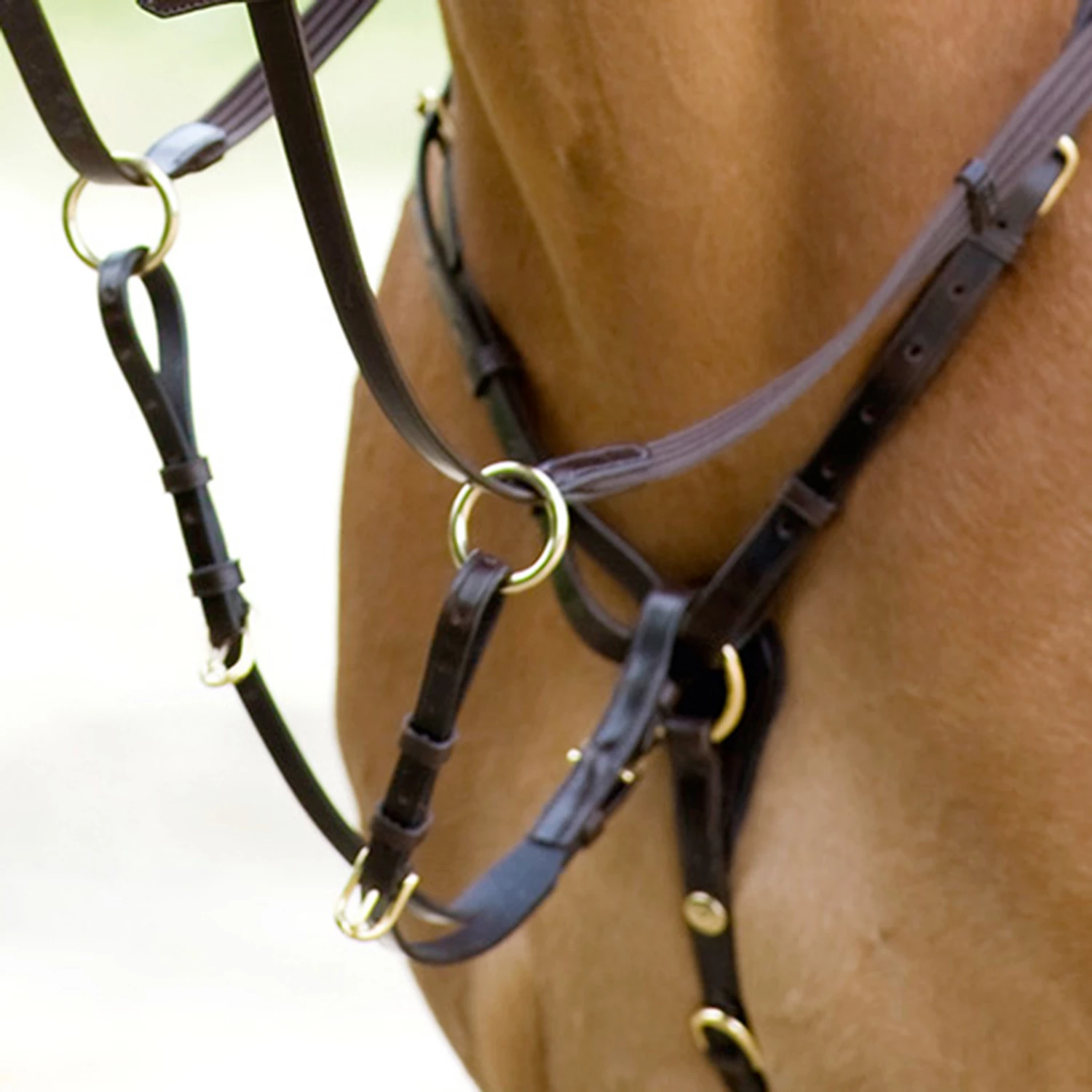 Schockemöhle Schmal Geschnittenes Vorderzeug: RACE II 4 Schockemöhle Schmal Geschnittenes Vorderzeug: RACE II – Bild 2