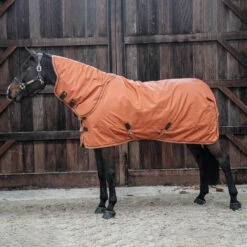 Kentucky Horsewear All Weather Halsteil 150g 15 Kentucky Horsewear All Weather Halsteil 150g -Weatherbeeta Shop 306135 ASOR 2
