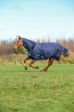 Bucas Atlantic Turnout Big Neck 200g 7 Bucas Atlantic Turnout Big Neck 200g -Weatherbeeta Shop 306239 DB 5