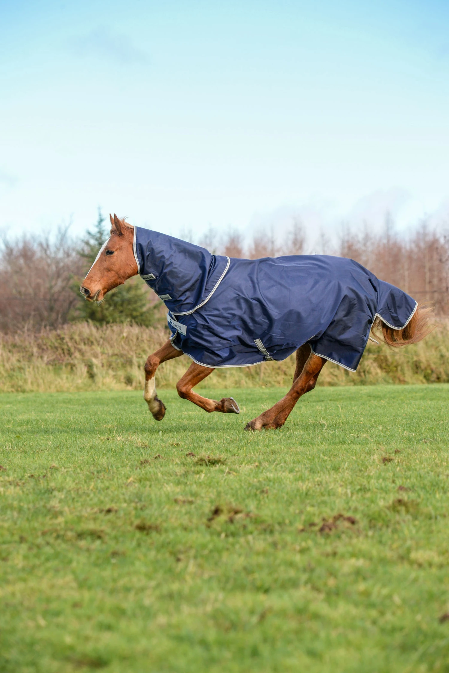 Bucas Atlantic Turnout Big Neck 200g 5 Bucas Atlantic Turnout Big Neck 200g – Bild 3