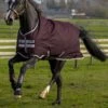 Horseware Amigo Hero Ripstop Regendecke Mit Fleecefutter, 50g -Weatherbeeta Shop 306260 FPU FPU 1