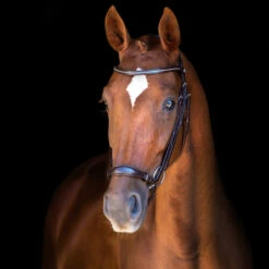 Schockemöhle Copenhagen Trense 9 Schockemöhle Copenhagen Trense -Weatherbeeta Shop 306265 DBR SI 3