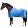 Horseware Amigo Hero 900 Regendecke, 50g 2 Horseware Amigo Hero 900 Regendecke, 50g -Weatherbeeta Shop 306288 CNB GMG 1