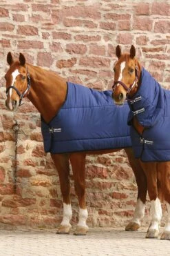 Horseware Unterdecke, 300g -Weatherbeeta Shop 307439 DB DB 3