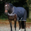 Horseware Amigo Walker Führanlagendecke, 100g 2 Horseware Amigo Walker Führanlagendecke, 100g -Weatherbeeta Shop 307479 BL SI 1