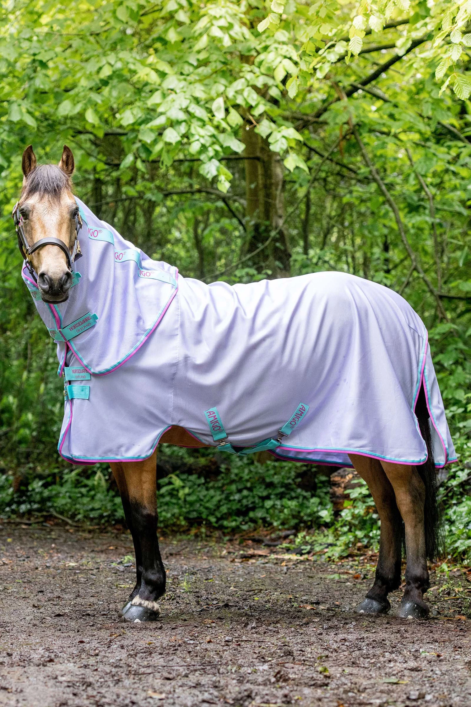 Horseware Amigo Pony Fliegendecke 4 Horseware Amigo Pony Fliegendecke – Bild 2