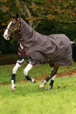 Horseware Amigo Halsteil, 0g -Weatherbeeta Shop 307509 BR RE GO 2