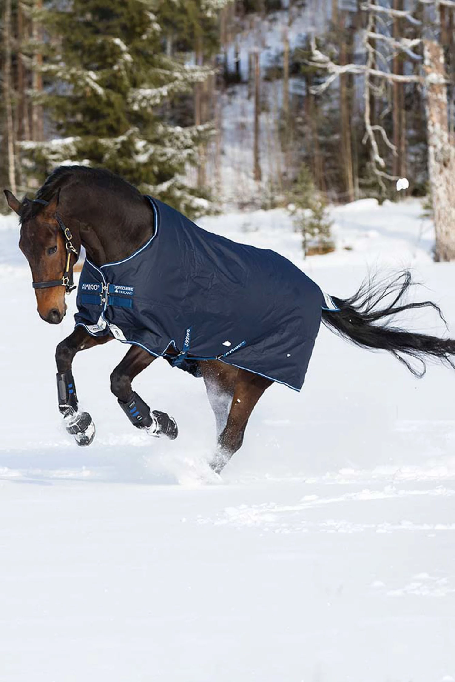 Horseware Amigo Bravo 12 Winterdecke, 400g 4 Horseware Amigo Bravo 12 Winterdecke, 400g – Bild 2