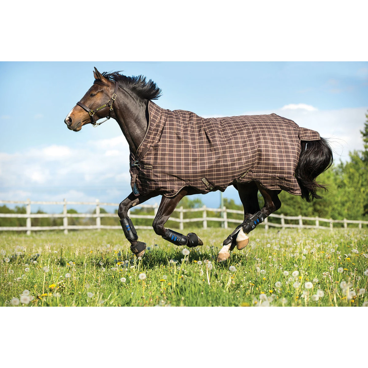 Horseware Rhino Wug Regendecke Mit Hohem Hals, 100g 4 Horseware Rhino Wug Regendecke Mit Hohem Hals, 100g – Bild 2