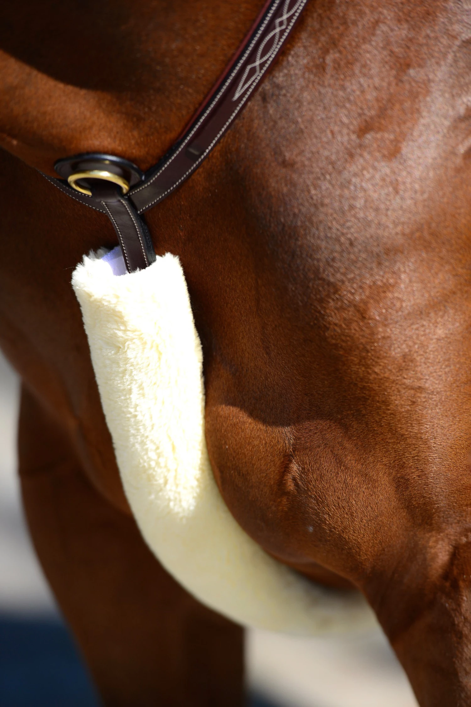 Kentucky Horsewear Lammfell Brustriemen-Schutz 5 Kentucky Horsewear Lammfell Brustriemen-Schutz – Bild 3