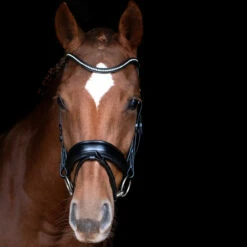 Schockemöhle Stanford Anatomische Trense 10 Schockemöhle Stanford Anatomische Trense -Weatherbeeta Shop 313787 BL SI 3