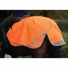 Weatherbeeta 300D Reflective Trainingsdecke 1 Weatherbeeta 300D Reflective Trainingsdecke -Weatherbeeta Shop 314950 OR 1