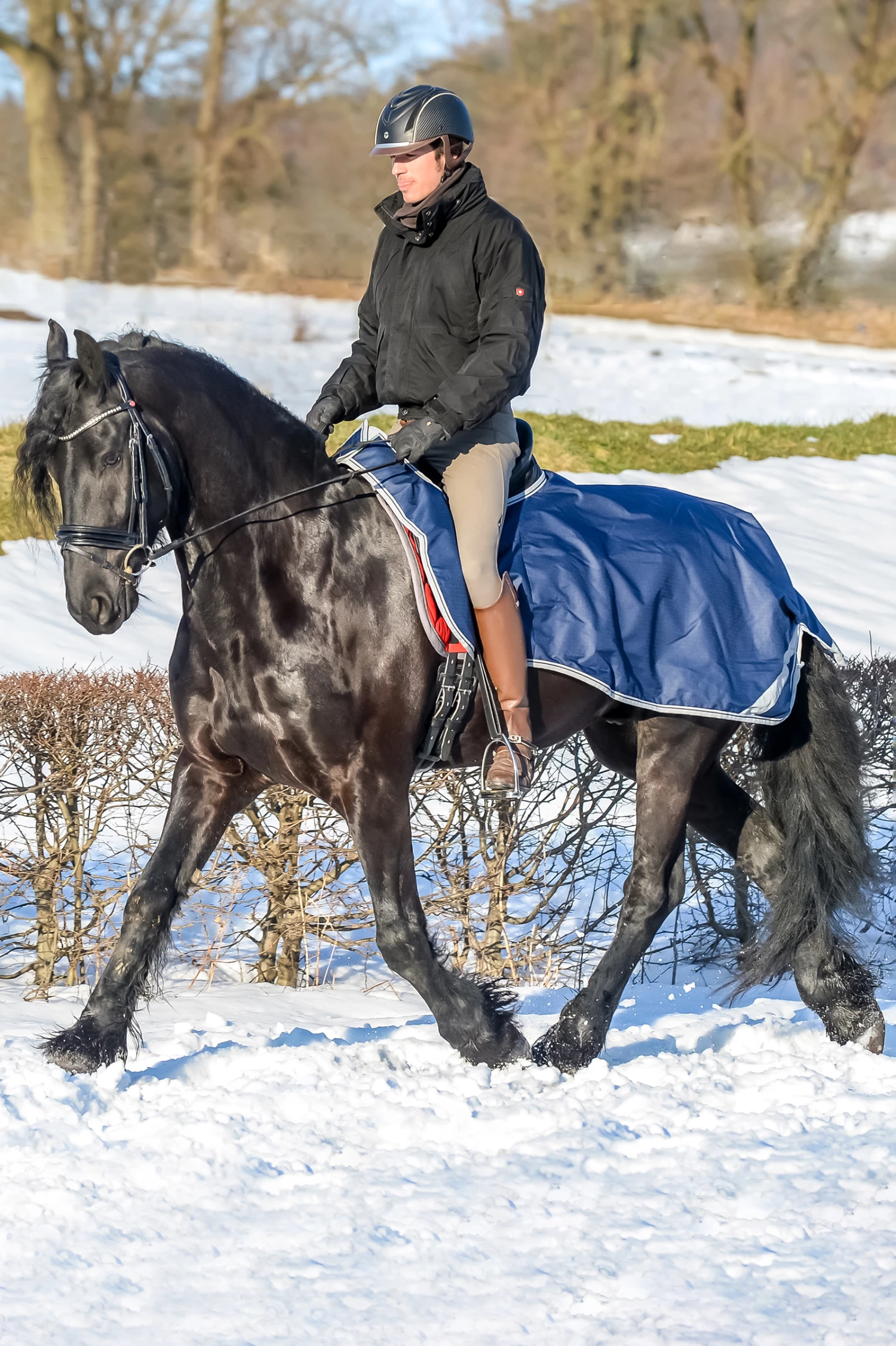 Bucas Ausreitdecke, 0g 3 Bucas Ausreitdecke, 0g