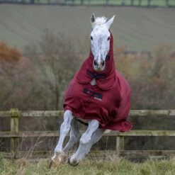 Bucas Freedom Turnout Light Fullneck Pony Regendecke Mit Festem Halsteil 13 Bucas Freedom Turnout Light Fullneck Pony Regendecke Mit Festem Halsteil -Weatherbeeta Shop 316869 CRE 2