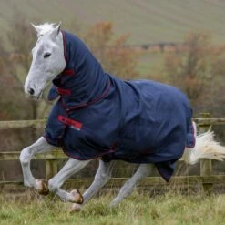 Bucas Freedom Turnout Light Fullneck Pony Regendecke Mit Festem Halsteil 14 Bucas Freedom Turnout Light Fullneck Pony Regendecke Mit Festem Halsteil -Weatherbeeta Shop 316869 GDG 1