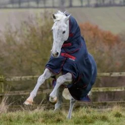 Bucas Freedom Turnout Light Fullneck Pony Regendecke Mit Festem Halsteil 15 Bucas Freedom Turnout Light Fullneck Pony Regendecke Mit Festem Halsteil -Weatherbeeta Shop 316869 GDG 2