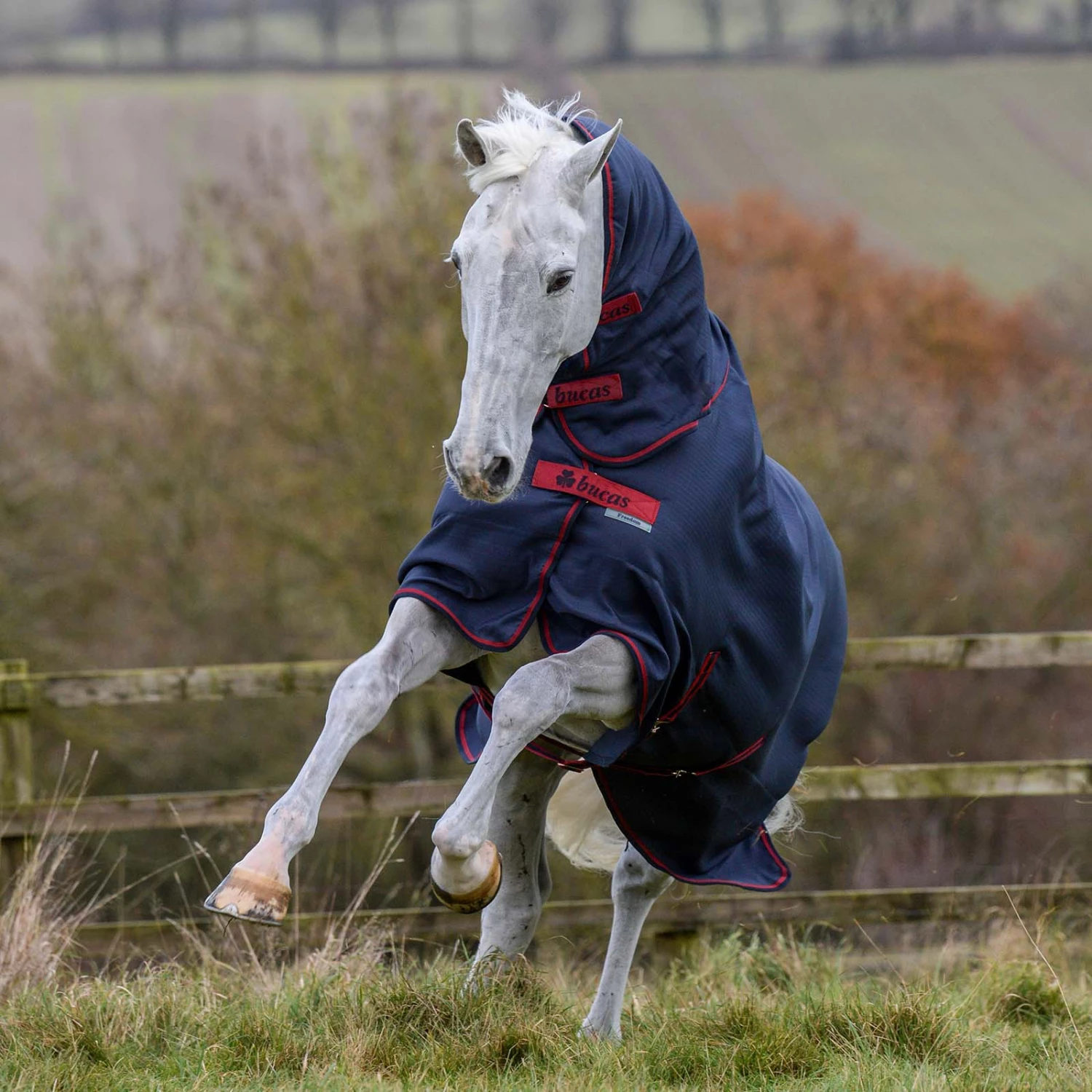 Bucas Freedom Turnout Light Fullneck Pony Regendecke Mit Festem Halsteil 9 Bucas Freedom Turnout Light Fullneck Pony Regendecke Mit Festem Halsteil – Bild 7
