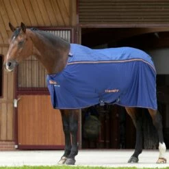 Bucas Therapy Cooler Abschwitzdecke 15 Bucas Therapy Cooler Abschwitzdecke -Weatherbeeta Shop 316877 DB OR 1