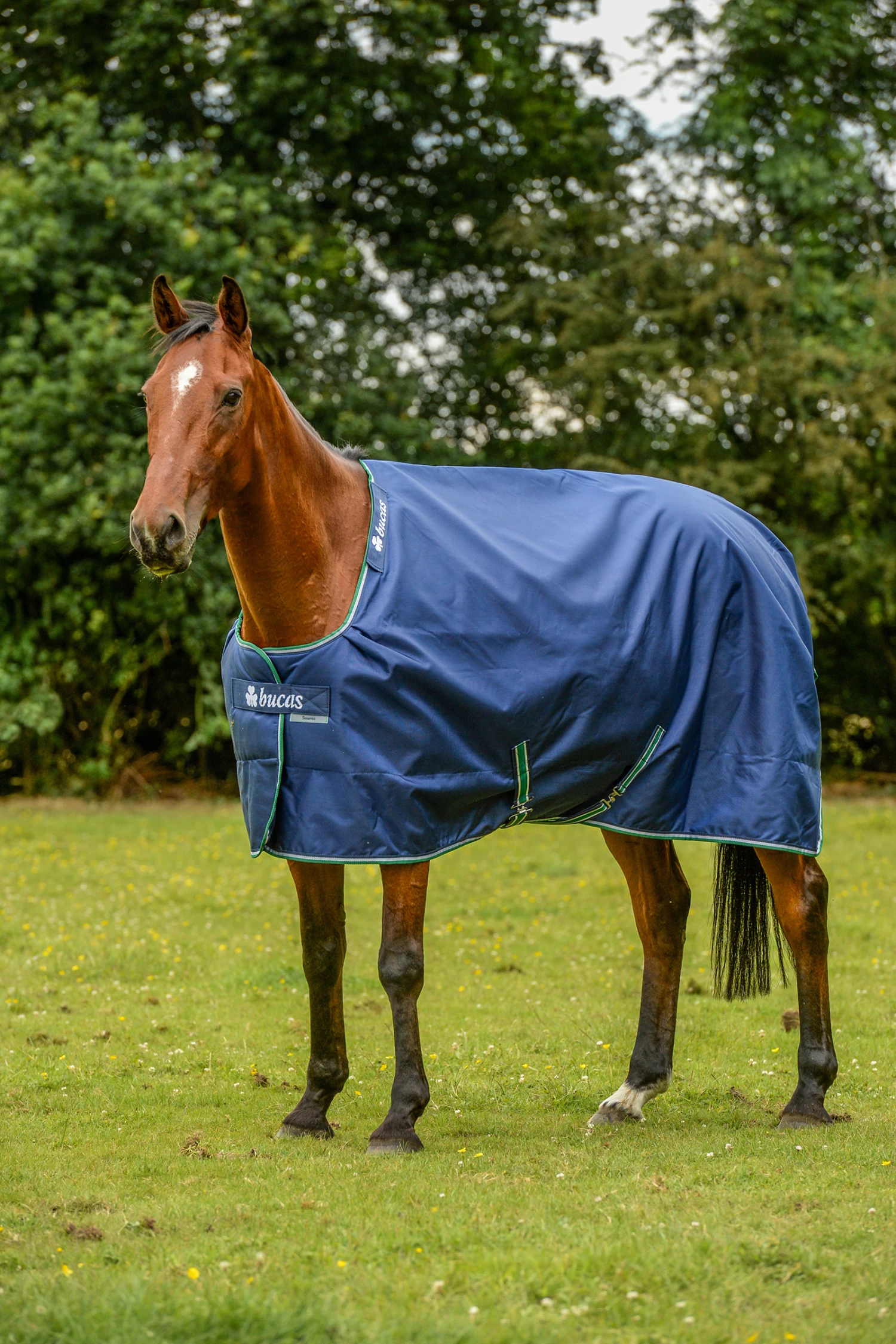 Bucas Smartex Rain Big Neck Regendecke Mit Abschwitzfunktion, 0g 3 Bucas Smartex Rain Big Neck Regendecke Mit Abschwitzfunktion, 0g