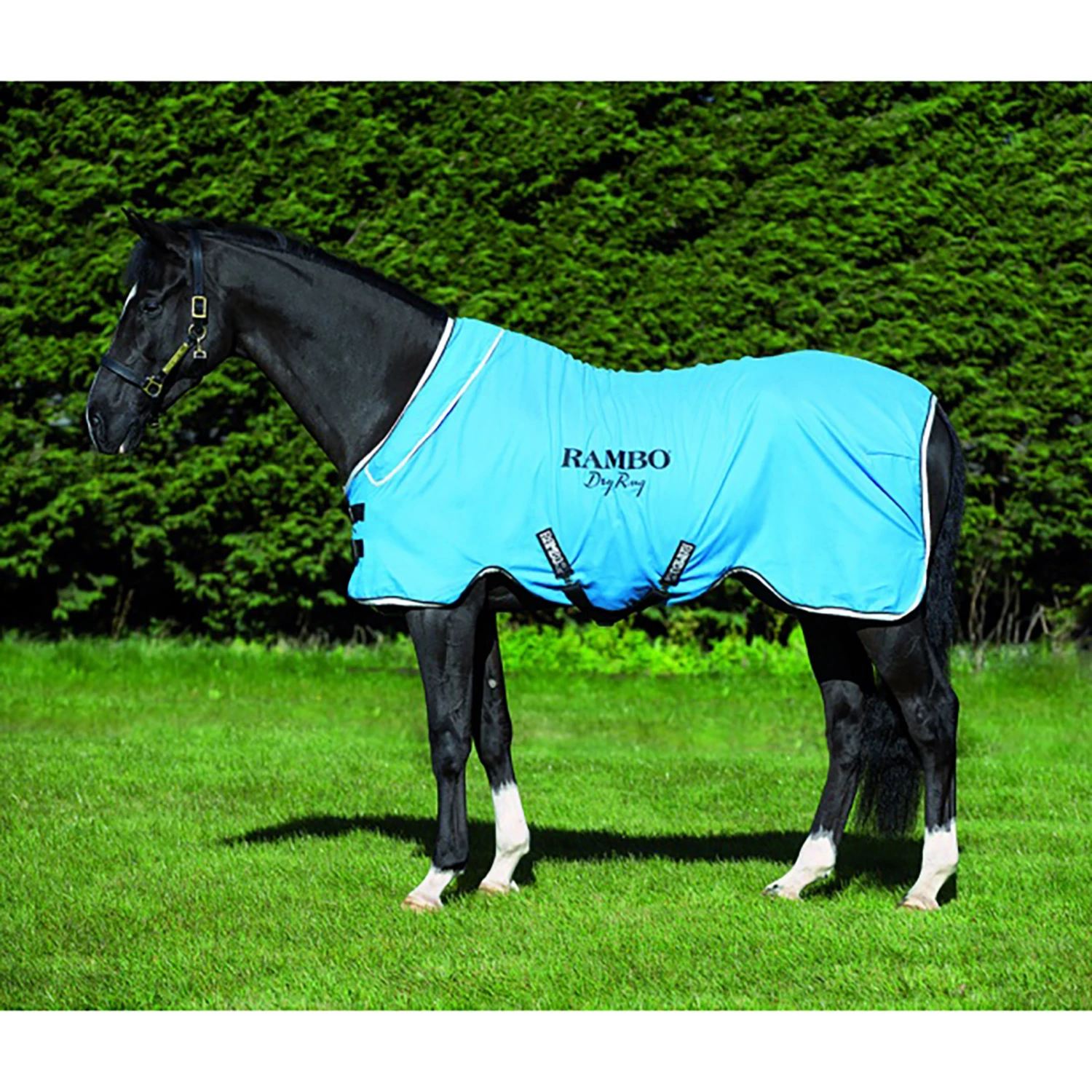 Horseware Rambo Dry Rug Supreme Abschwitzdecke 3 Horseware Rambo Dry Rug Supreme Abschwitzdecke