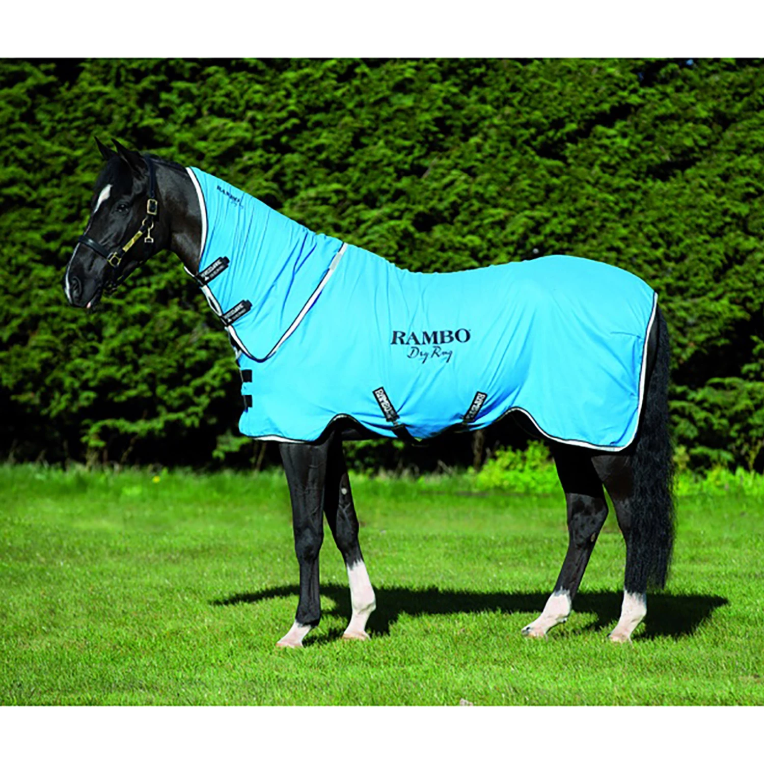 Horseware Rambo Dry Rug Supreme Abschwitzdecke 4 Horseware Rambo Dry Rug Supreme Abschwitzdecke – Bild 2