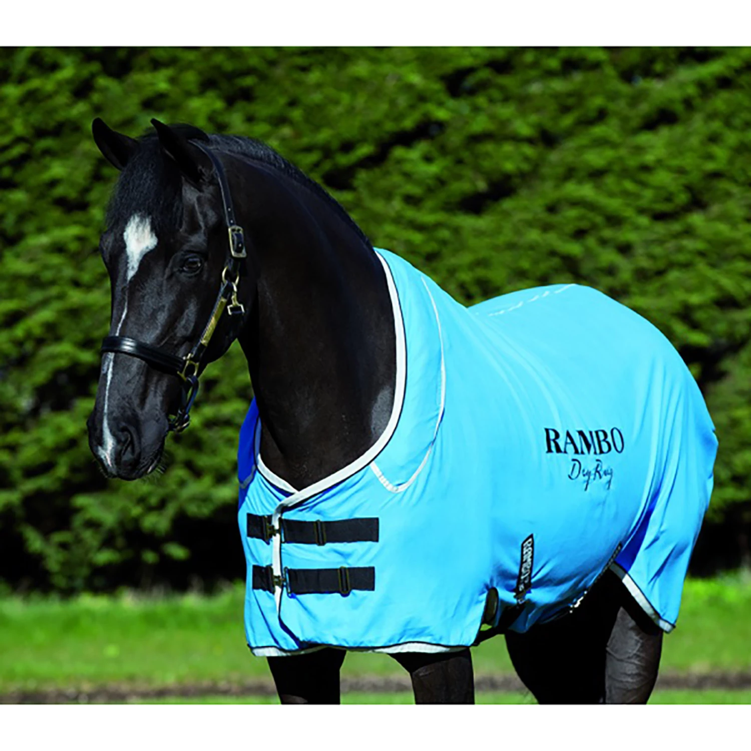 Horseware Rambo Dry Rug Supreme Abschwitzdecke 5 Horseware Rambo Dry Rug Supreme Abschwitzdecke – Bild 3