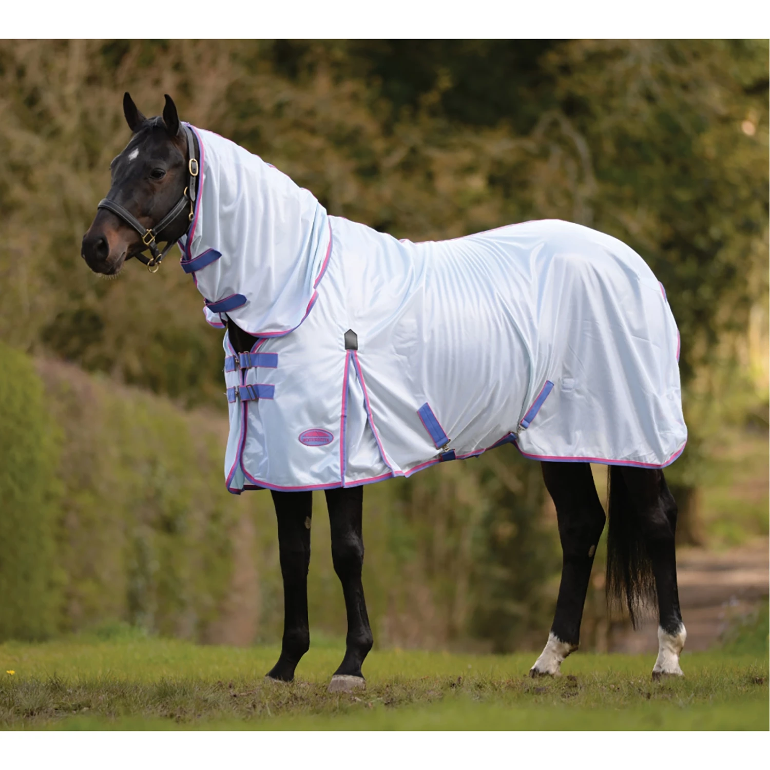 Weatherbeeta Comfitec Essential Mesh II Combo Fliegendecke Mit Festem Halsteil 4 Weatherbeeta Comfitec Essential Mesh II Combo Fliegendecke Mit Festem Halsteil – Bild 2