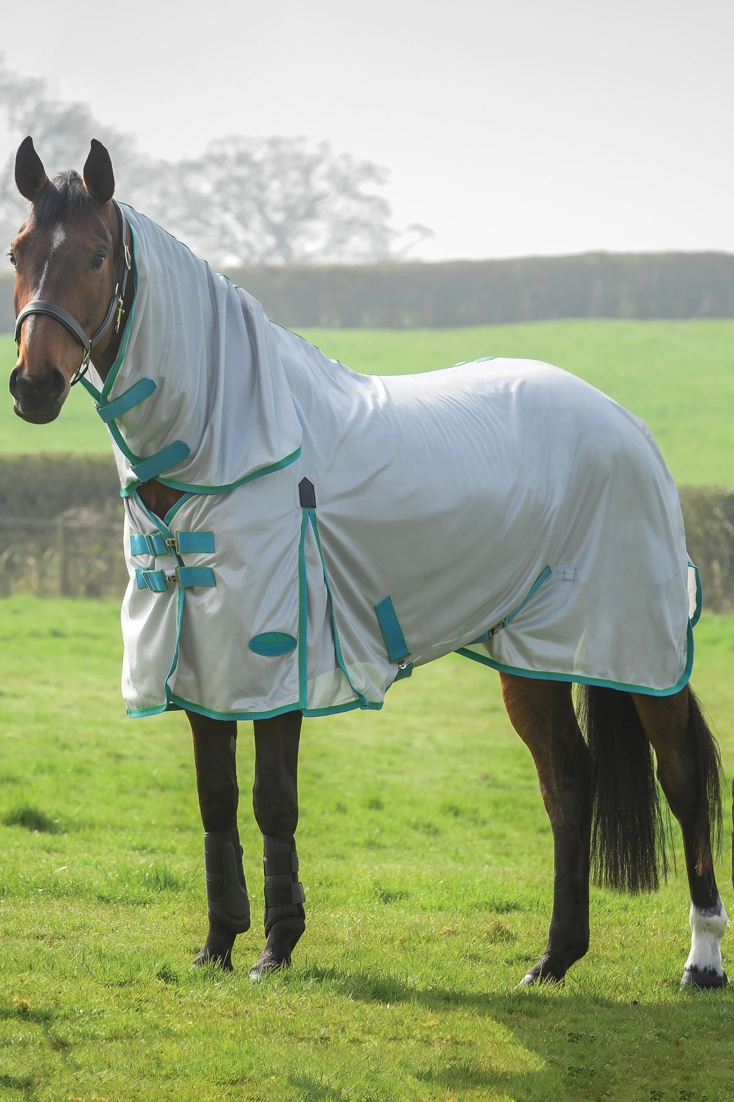 Weatherbeeta Comfitec Essential Mesh II Combo Fliegendecke Mit Festem Halsteil 3 Weatherbeeta Comfitec Essential Mesh II Combo Fliegendecke Mit Festem Halsteil