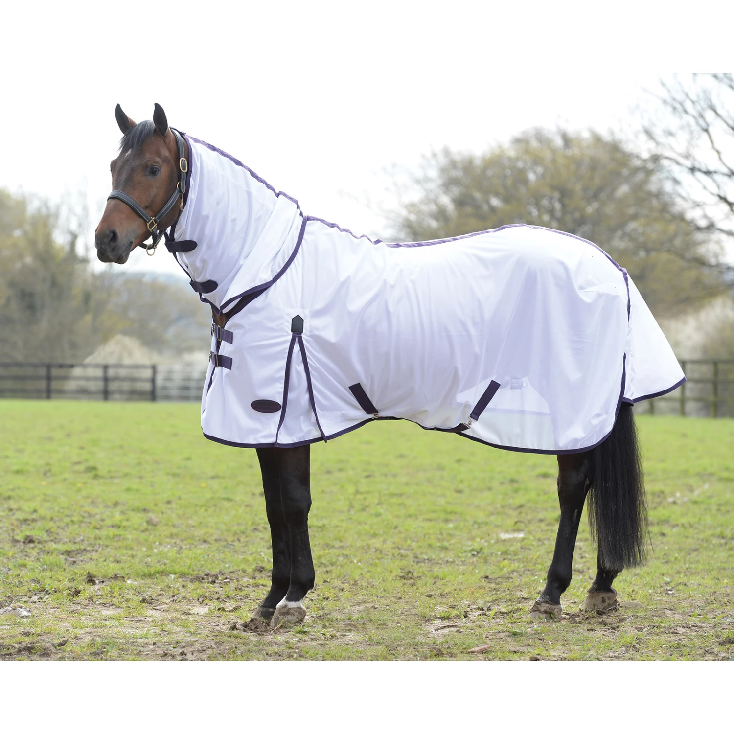 Weatherbeeta Comfitec Essential Mesh II Combo Fliegendecke Mit Festem Halsteil 5 Weatherbeeta Comfitec Essential Mesh II Combo Fliegendecke Mit Festem Halsteil – Bild 3