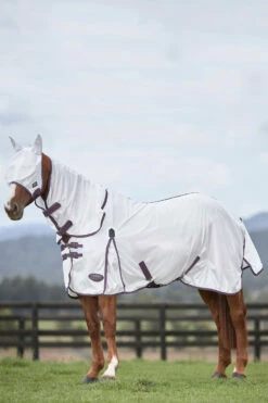 Weatherbeeta Comfitec Essential Mesh Maske -Weatherbeeta Shop 317416 WH DRE 2