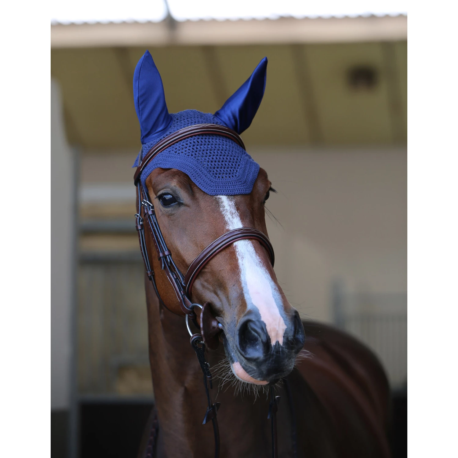 Kentucky Horsewear Wellington Fliegenhaube 9 Kentucky Horsewear Wellington Fliegenhaube – Bild 7