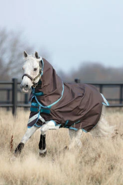 Horseware Amigo Bravo 12 Pony Weidedecke Inkl. Abnehmbarem Halsteil, 0g 10 Horseware Amigo Bravo 12 Pony Weidedecke Inkl. Abnehmbarem Halsteil, 0g -Weatherbeeta Shop 320362 DG B 2