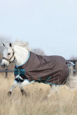 Horseware Amigo Bravo 12 Pony Weidedecke Inkl. Abnehmbarem Halsteil, 0g 11 Horseware Amigo Bravo 12 Pony Weidedecke Inkl. Abnehmbarem Halsteil, 0g -Weatherbeeta Shop 320362 DG B 3