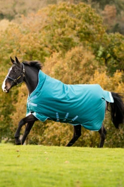 Horseware Amigo Bravo 12 Regendecke Mit Hohem Hals, 0g 13 Horseware Amigo Bravo 12 Regendecke Mit Hohem Hals, 0g -Weatherbeeta Shop 320364 STGR 01