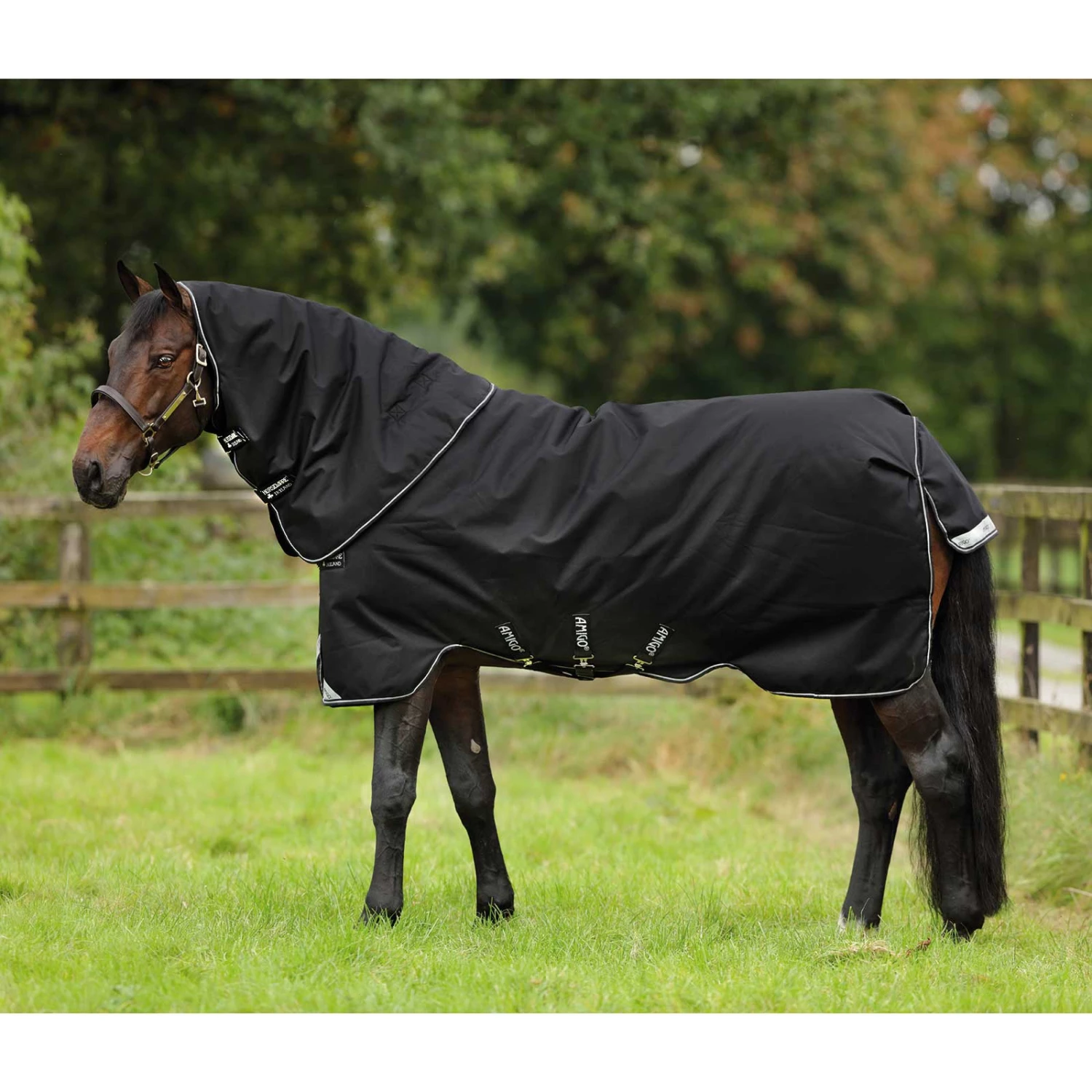 Horseware Amigo Bravo 12 Plus Weidedecke, 400g 3 Horseware Amigo Bravo 12 Plus Weidedecke, 400g