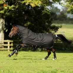 Horseware Amigo Bravo 12 Plus Weidedecke, 400g 14 Horseware Amigo Bravo 12 Plus Weidedecke, 400g -Weatherbeeta Shop 320369 BL BL WH 2