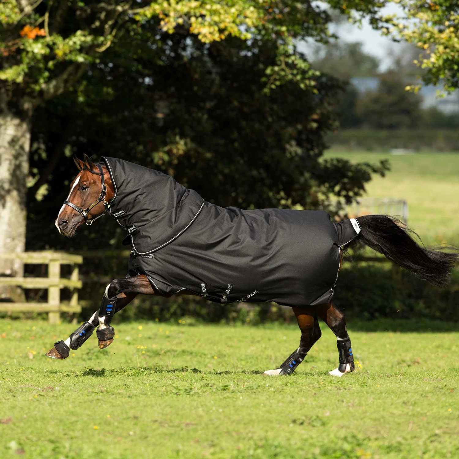 Horseware Amigo Bravo 12 Plus Weidedecke, 400g 4 Horseware Amigo Bravo 12 Plus Weidedecke, 400g – Bild 2