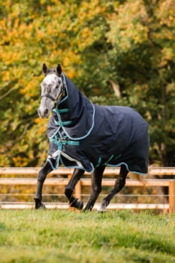 Horseware Amigo Bravo 12 Plus Winterdecke Mit Abnehmbarem Halsteil, 250g 18 Horseware Amigo Bravo 12 Plus Winterdecke Mit Abnehmbarem Halsteil, 250g -Weatherbeeta Shop 320370 DB AB 2